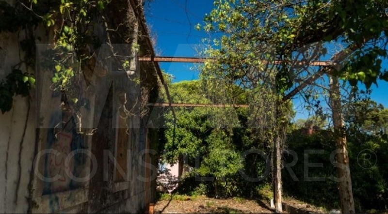 Terreno com 15.533 m2 com Quinta, em ruína. Sesimbra (Santana)